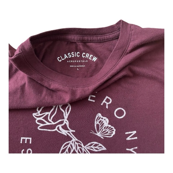 Bundle of Two Classic Crew Aeropostale Tees Size Large and Medium - Picture 3 of 5